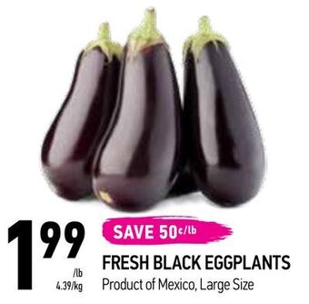 Coppa's Fresh Market Fresh black eggplants offer