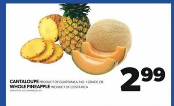 Real Canadian Superstore CANTALOUPE offer