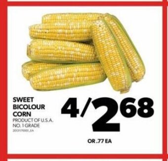 Real Canadian Superstore SWEET BICOLOUR CORN offer