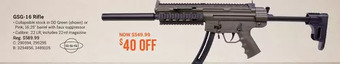 Bass Pro Gsg-16 rifle offer