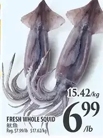 Al Premium Food Mart Fresh whole squid offer