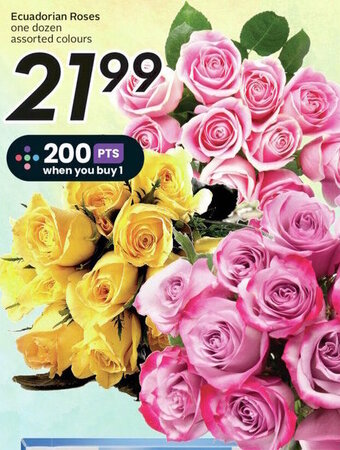 Sobeys Ecuadorian Roses one dozen assorted colours offer