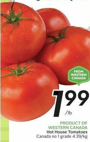 Sobeys Hot House Tomatoes Canada no 1 grade offer