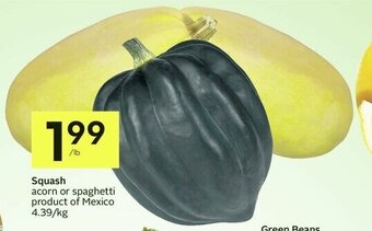 IGA Squash offer