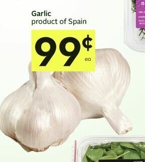 IGA Garlic offer