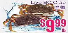 Grant's Foodmart Live bc crab offer