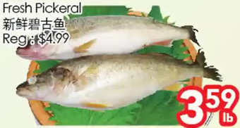 Superking Supermarket Fresh pickeral offer