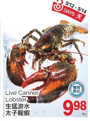 T&T Supermarket Live canner lobster offer