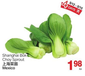 T&T Supermarket Shanghai bok choy sprout offer