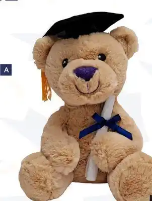 Party City Amscan plush graduation bear offer