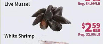 Blue Sky Supermarket Live mussel offer