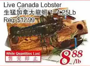 Tone Tai Supermarket Live canada lobster offer