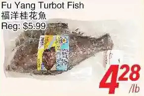 Foody World Fu yang turbot fish offer