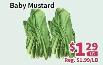 Blue Sky Supermarket Baby mustard offer