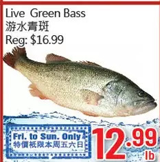 Hong Tai Supermarket Live green bass offer