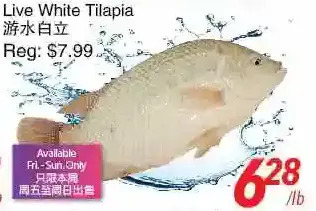 Foody World Live white tilapia offer