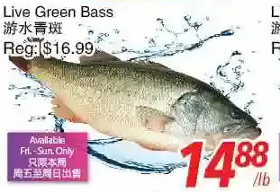 Foody World Live green bass offer