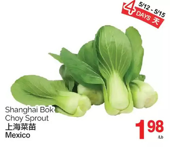 T&T Supermarket Shanghai bok choy sprout offer