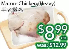 Ample Food Market Mature chicken offer