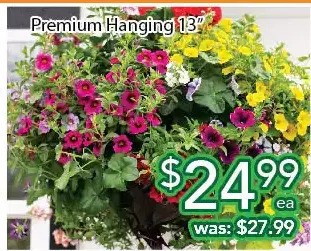 Ample Food Market Premium hanging 13 offer