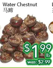 Ample Food Market Water chestnut offer