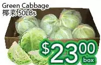Ample Food Market Green cabbage offer