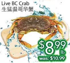 Ample Food Market Live bc crab offer