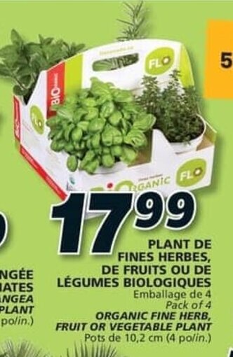 IGA PLANT DE FINES HERBES, DE FRUITS OU DE LÉGUMES BIOLOGIQUES Emballage de 4 offer