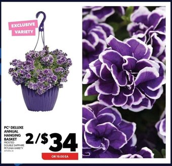 Real Canadian Superstore PC® DELUXE ANNUAL HANGING BASKET offer