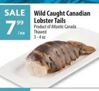 Co-op SALE Wild Caught Canadian Lobster Tails offer