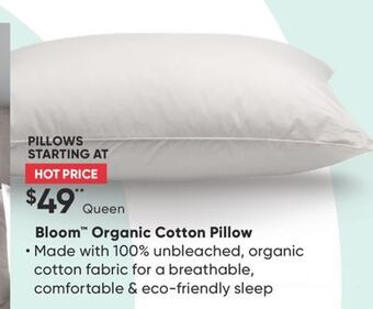 Sleep Country Bloom organic cotton pillow offer