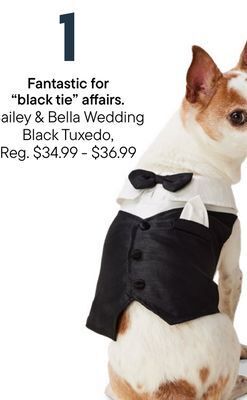 Petvalu Bailey & bella wedding black tuxedo offer
