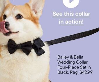 Petvalu Bailey & bella wedding collar four-piece set in black offer