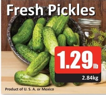 Starsky Fresh Pickles offer