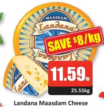 Starsky Landana Maasdam Cheese offer