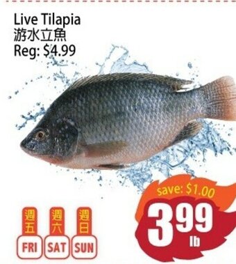 Field Fresh Supermarket Live Tilapia offer
