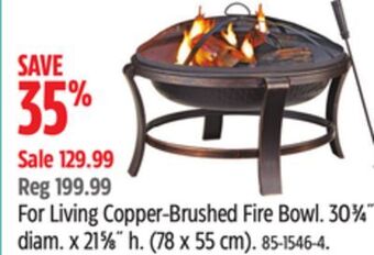 Canadian Tire For living copper-brushed fire bowl offer