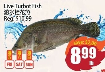 Field Fresh Supermarket Live Turbot Fish offer