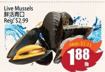 Field Fresh Supermarket Live Mussels offer