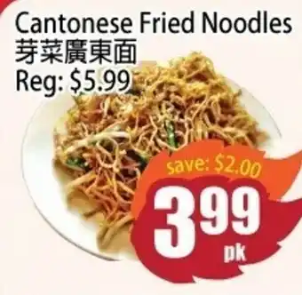 Cantonese Fried Noodles