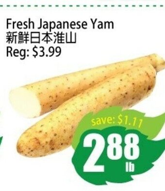 Field Fresh Supermarket Fresh Japanese Yam offer