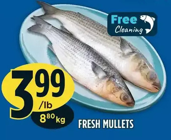 Marché Adonis Fresh mullets offer