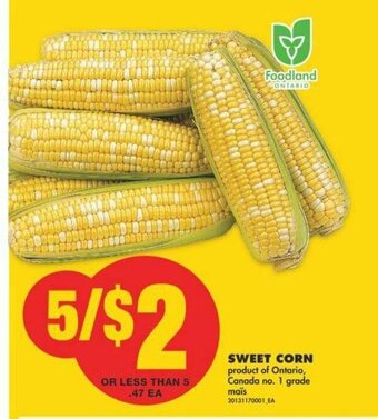 No Frills Sweet Corn offer