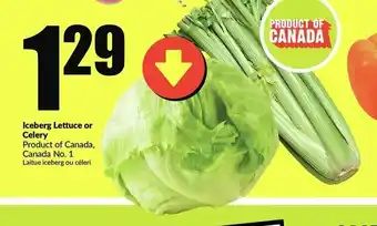 FreshCo iceberg Lettuce or Celery offer