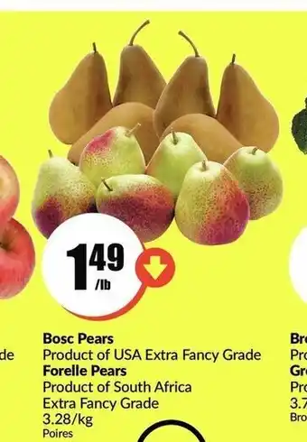 FreshCo Bosc Pears offer