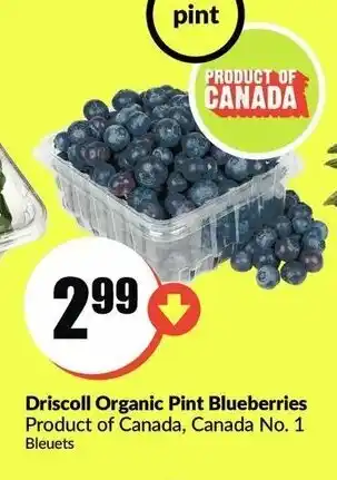 FreshCo Driscoll Organic Pint Blueberries offer