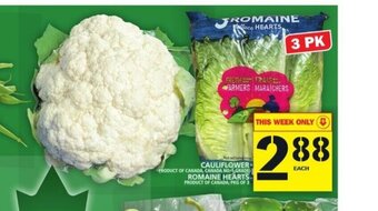 Food Basics Cauliflower offer