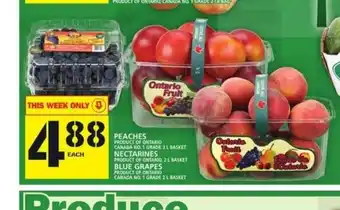 Food Basics Peaches , Nectraines , Blue Grapes offer