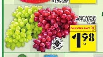 Food Basics Red or Green Seedless Grapes offer