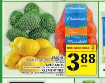 Food Basics Lemons , Avocados , Clementines offer